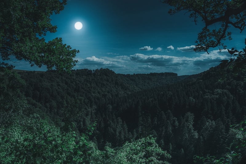 Moon Phase Wall Art